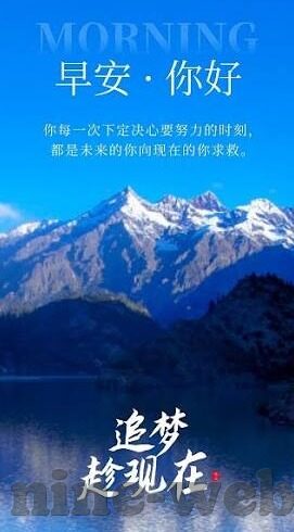 挪超足球比分-挪超风云,比分背后的战术博弈与激情碰撞
