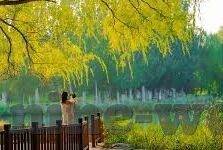 热议足球比分预测-热议足球比分预测,科技与激情交织的博弈场