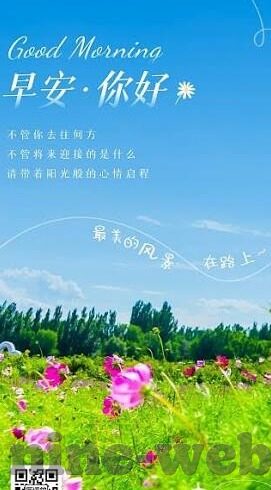 足球比分U23-足球比分U23,青春风暴下的竞技盛宴与未来之星