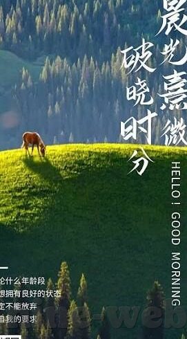 足球十四场实时比分-足球十四场实时比分,绿茵场上的心跳加速时刻